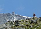 St Gervais (56) : montagne, 2013, Mont Blanc
